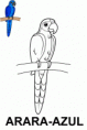 /album/pra-colorir/arara-azul-gif/