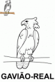 /album/pra-colorir/gaviao-real-gif/