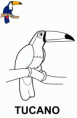 /album/pra-colorir/tucano-gif1/